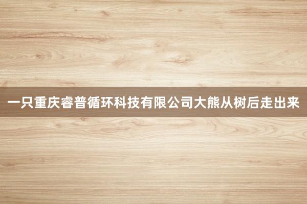 一只重庆睿普循环科技有限公司大熊从树后走出来